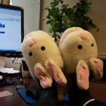 kick-your-feet-up-business-in-bunny-slippers